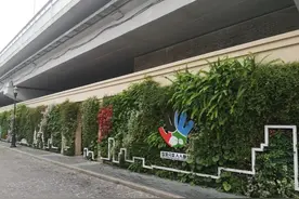 亲水平台、绣球花道、网红打卡点……宁波城市客厅老外滩大变样图片