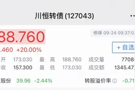 新债中签全攻略，打不了新股，一年也能赚30%图片