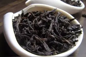 武夷岩茶有著名的四大名丛，你懂几个？图片