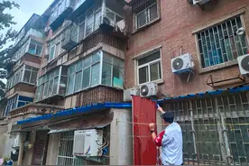 郑州一女子家中经常有蜜蜂乱飞，众人打开柜门后当场惊呆图片