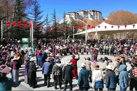 拉萨记忆：6.布达拉宫图片