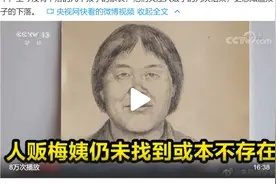 人贩梅姨仍未找到或本不存在图片