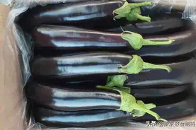 秋天吃茄子，你还纠结要不要削皮吗？图片