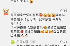 奈雪的“撞撞茶”那么火 我们准备了几款配方图片