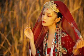 故事：她选秀入宫后位不稳，靠腹中5月皇嗣，扳倒盛宠正浓的贵妃图片