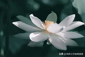 唯有学会尊重规则，才是对自己的守护图片
