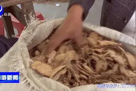 好果！仙游药农摸索这项提炼技术，竟然让大家收入图片