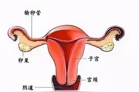 【科普】医生说，切除子宫，没那么可怕！图片