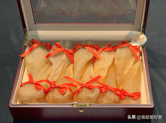 黄花胶与白花胶哪种好 2026年黄花胶与白花胶哪种好一点