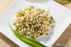 一样是豆芽，黄豆芽和绿豆芽有啥区别？专业回答在这，弄明白再买图片