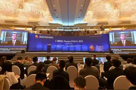 上海论坛2021·主旨演讲丨斯万·斯杜伦：建立跨学科、跨行业、跨国家的联系是解决全球性问题的关键图片