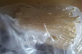 我们来对比一下物价，看看相差有多大，定位：广东江门图片