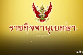 泰国国王为8名将级以下官员升衔图片