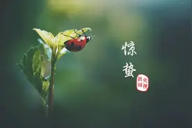 惊蛰丨没有人能阻挡，春天如期而来图片
