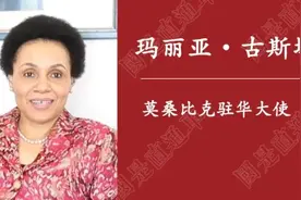 国是访问｜专访莫桑比克驻华大使：中国功夫不止“一面”图片