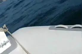 男子潜水捕捞，不幸溺水身亡图片