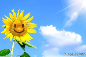 低碳生活指南，这几个环保行为你做到了吗？图片