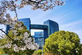 杭州樱花已满城！这份地图，帮您找到最美路线图片