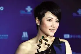 48岁的颜丙燕为何不结婚？听她自己笑说原因图片