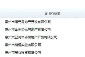 大亚湾一大波楼盘获得预售证，年末购房好时机来临图片