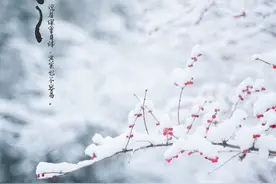 给照片加水印，在手机里装这4个APP就够了图片