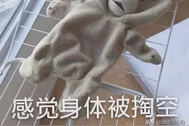 每天必须做哪些家务才会让家里看起来整洁干净？图片
