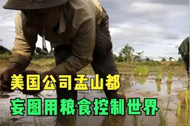 臭名昭著的美国孟山都，妄图用粮食控制世界，被52个国家联名抵制图片