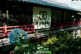 日本神社数上千，最古老的竟在日本茶乡，为什么供奉的是兔子？图片