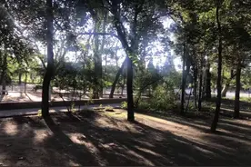抗癌日记：头发长到了正常的长度，终于可以回家看看爸妈了图片