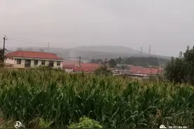 莱阳好雨水图片