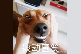 开心一刻｜万水千山总是情，不穿秋裤真不行图片