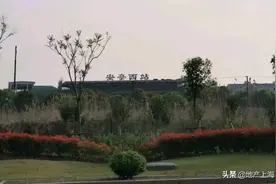 沪C惊现房价2万6板块！55趟动车进城，每天多睡1小时不是梦！图片
