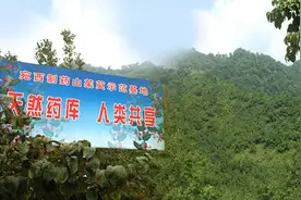 仲景宛西制药依靠科技创新提升现代中药制造图片