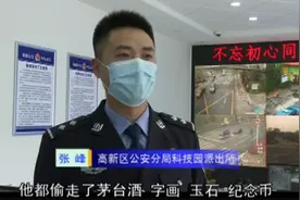 大年初一，淄博一住户被偷数百万元财物、奔驰越野！嫌疑人意想不到图片