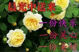 人生本过客，何必千千结，想拥有就去努力，努力过后就不在乎结果图片