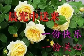 人生本过客，何必千千结，想拥有就去努力，努力过后就不在乎结果图片