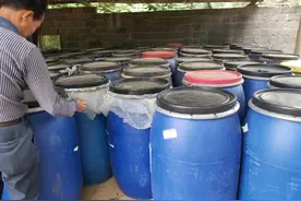 米粉渣、面条渣发酵饲喂猪牛羊鸡鸭鹅等技术，可以长时间保存图片