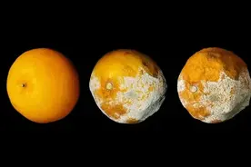 同为癌，原位癌、微浸润癌、浸润癌有何区别？图片