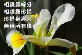 愿我们有前进一寸的勇气，亦有后退一尺的从容，早安，祝一切顺利图片