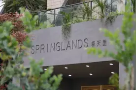 推广丨森林里的春天里 一所会呼吸的幼儿园图片