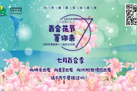 沈阳盛夏好去处：到沈阳世博园感受浪漫百合花海的魅力吧图片