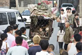 宝宝跟狗同锁在笼子里，1家8口蹬三轮车流浪，网友说太心酸图片