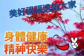 专一不是一辈子只喜欢一个人，是喜欢一个人的时候一心一意，早安图片