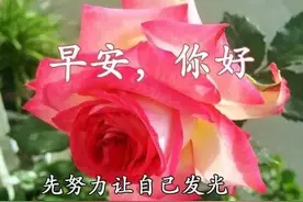 美女表情包｜有钱就把事办好，没钱就把人做好图片