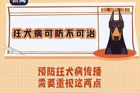 狂犬病：知真相，不恐狂图片