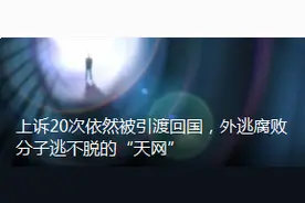 上诉20次依然被引渡回国，外逃腐败分子逃不脱的“天网”图片