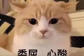 有种感动叫“胎儿保护妈妈”，怀孕后胎儿做的暖心事，可别不知道图片