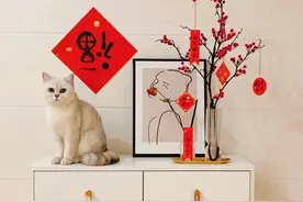 牛年大吉！你家年味“气氛组”上线了吗？图片