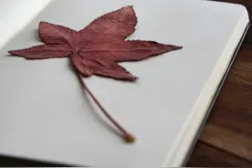 中文和日文写作的区别有哪些？图片