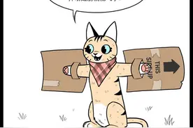 萌翻了：小奶猫与退役军犬之《本仙女要上天》，第56集图片